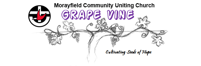 grape-vine-header-snip-capture-ext-centre